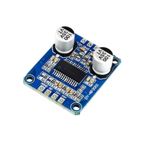 ماژول آمپلی فایر مونو دیجیتالی (کلاس D) 30 وات مدل DY-AP3001